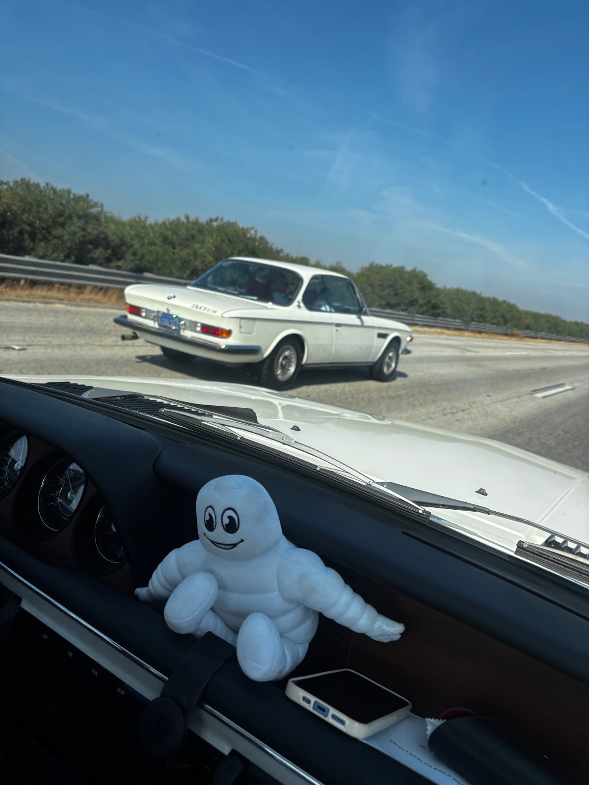 IMG_3829.jpeg