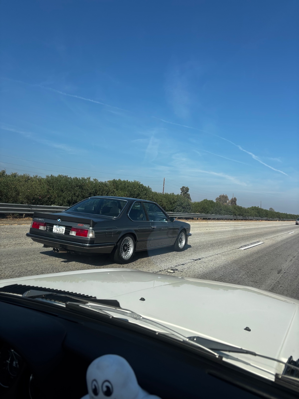 IMG_3831.jpeg