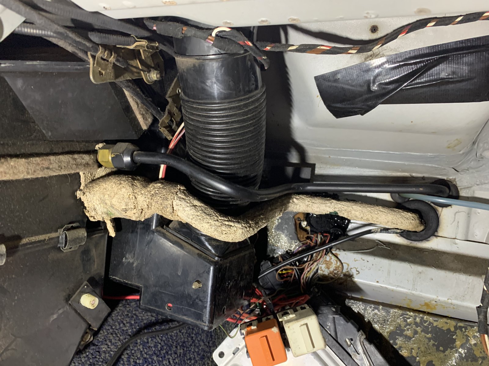 IMG_4624.jpg IMG_4624.jpg