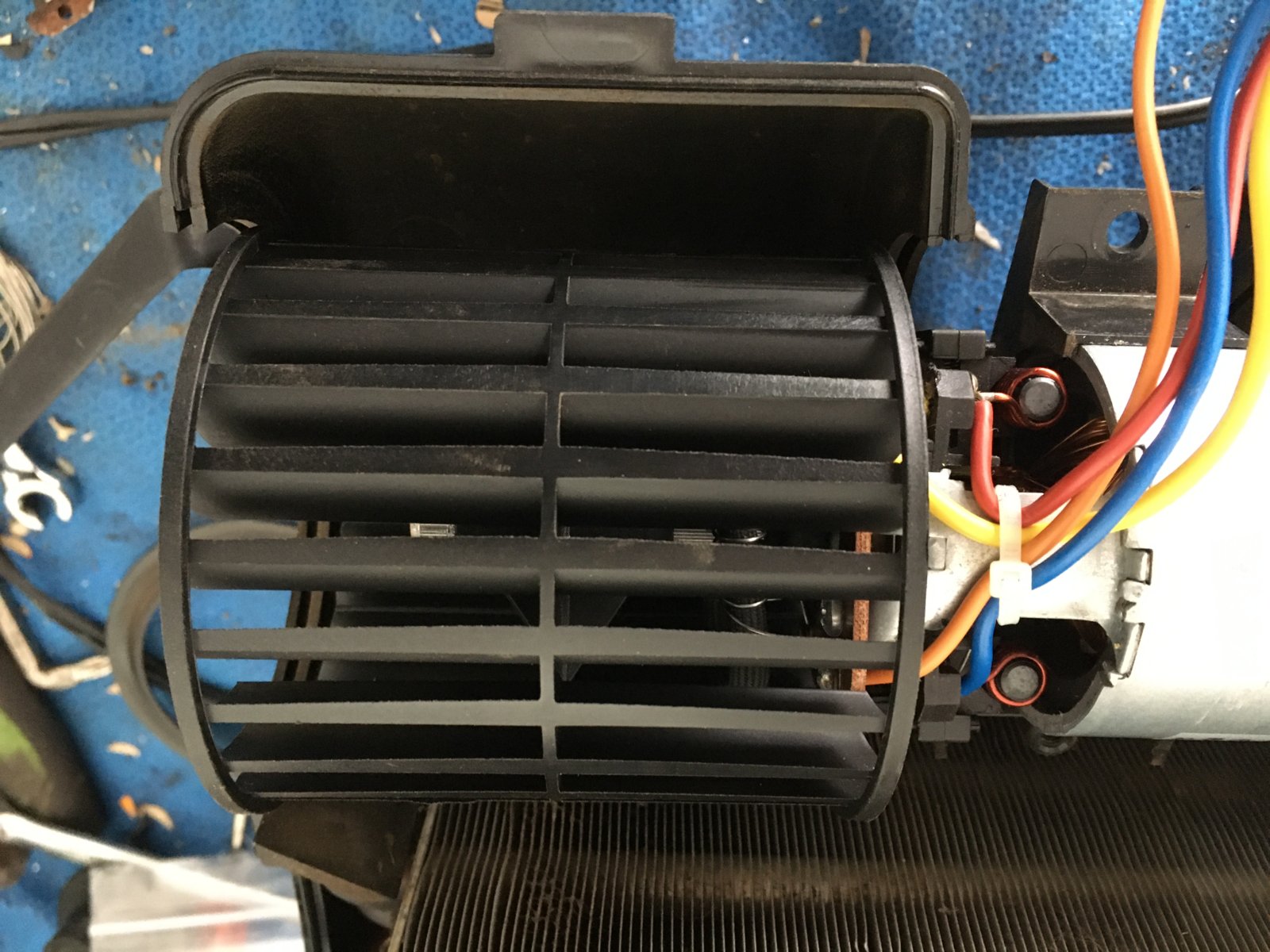 IMG_4803.JPG IMG_4803.JPG