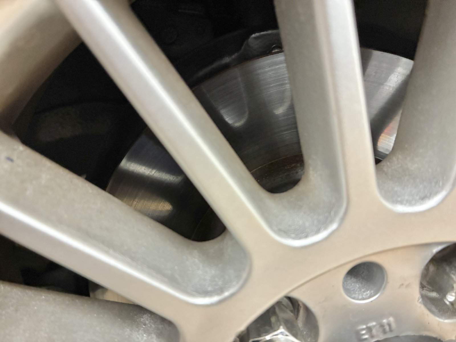 IMG_5977.jpeg