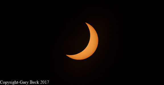 IMG_6646.jpg