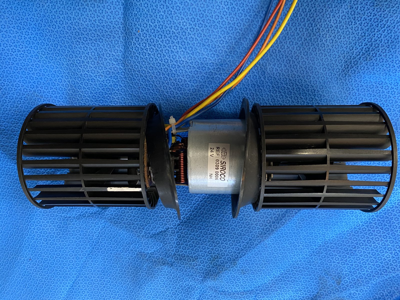 IMG_7812.JPG IMG_7812.JPG