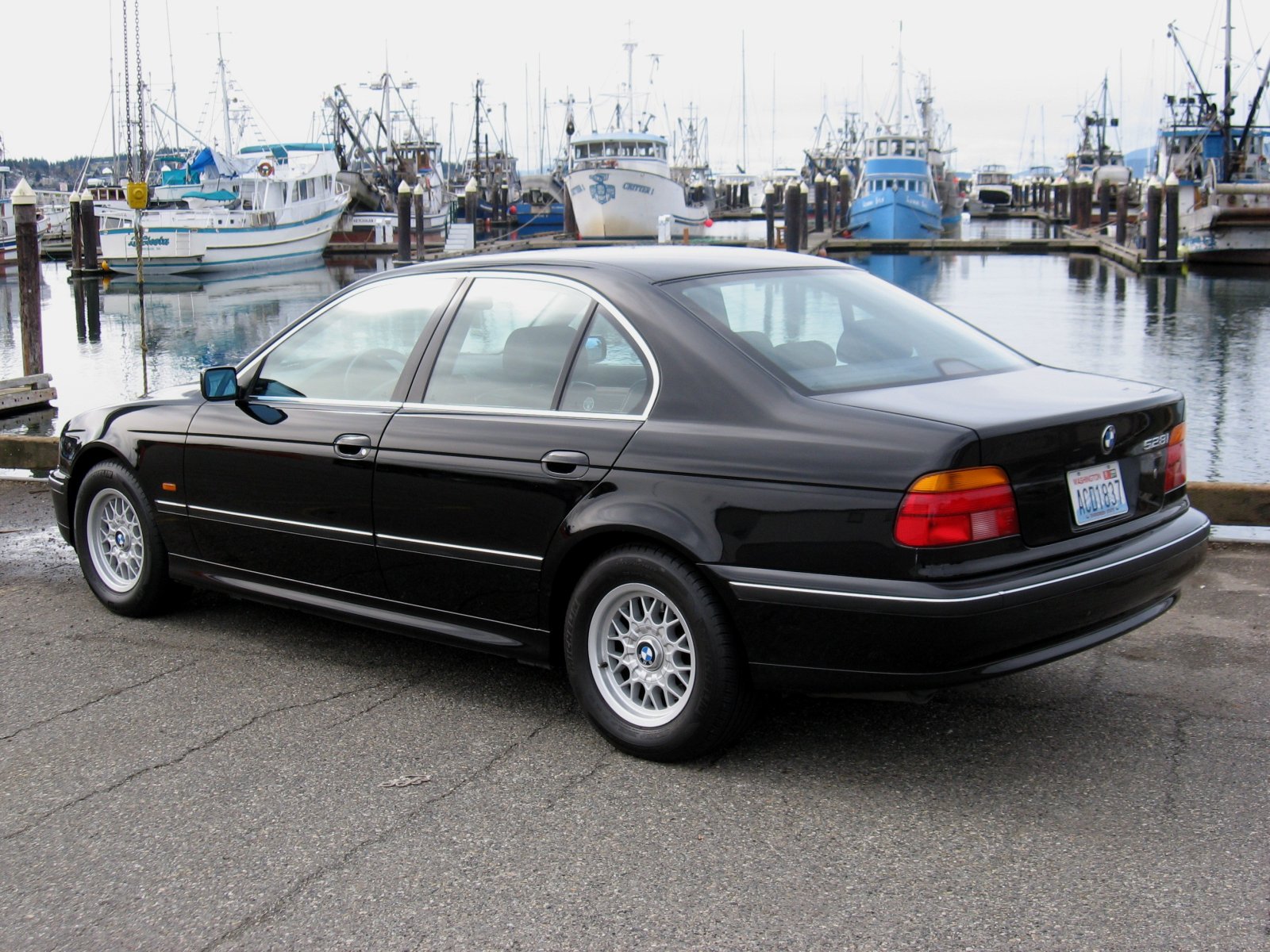 IMG_7883-1 copy.JPG