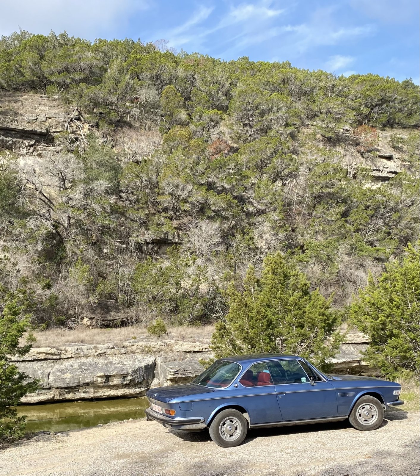 IMG_8647.jpeg IMG_8647.jpeg