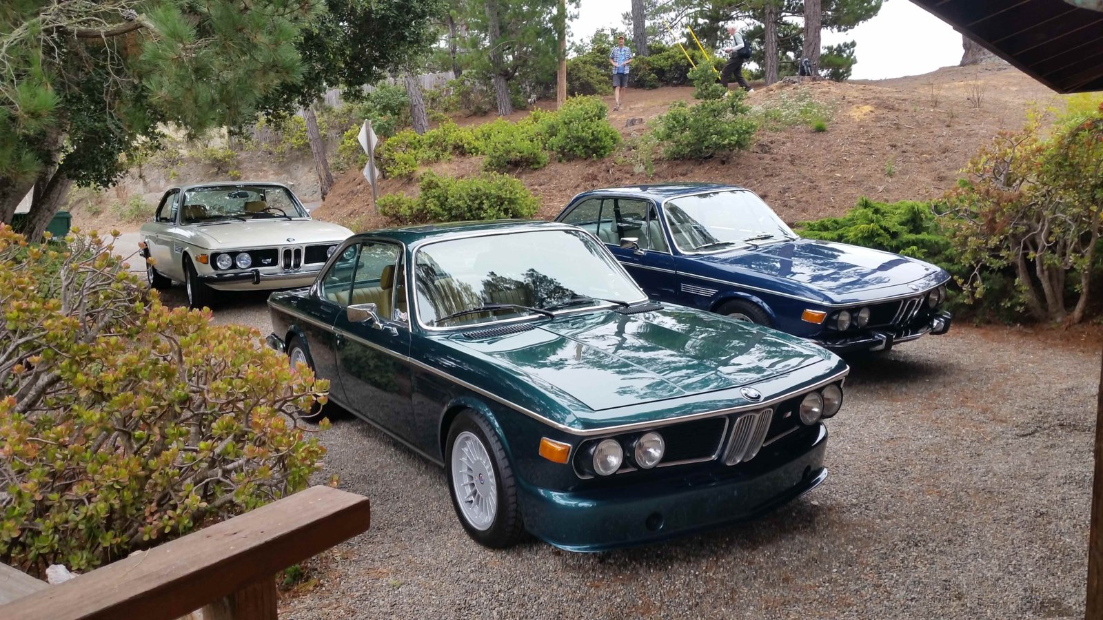 Monterey Smaller.jpg