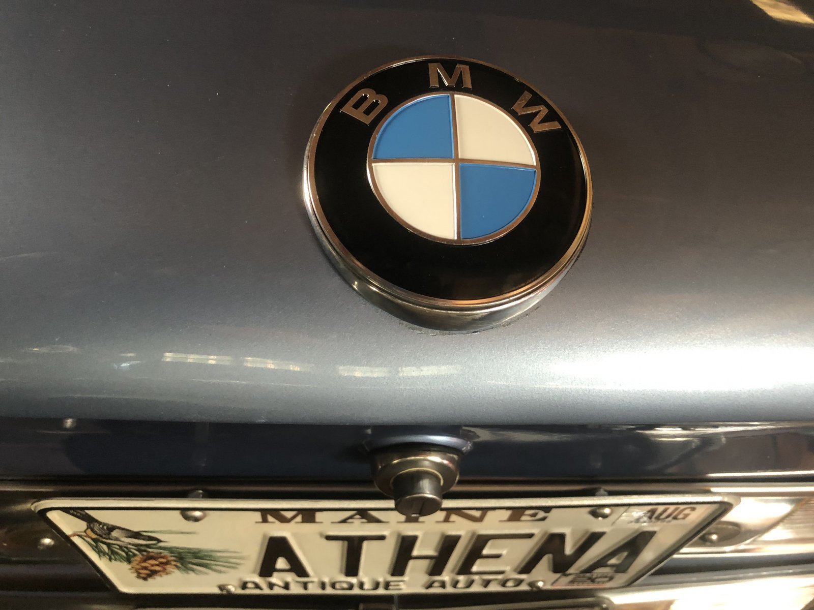 New Rear Roundel.jpeg
