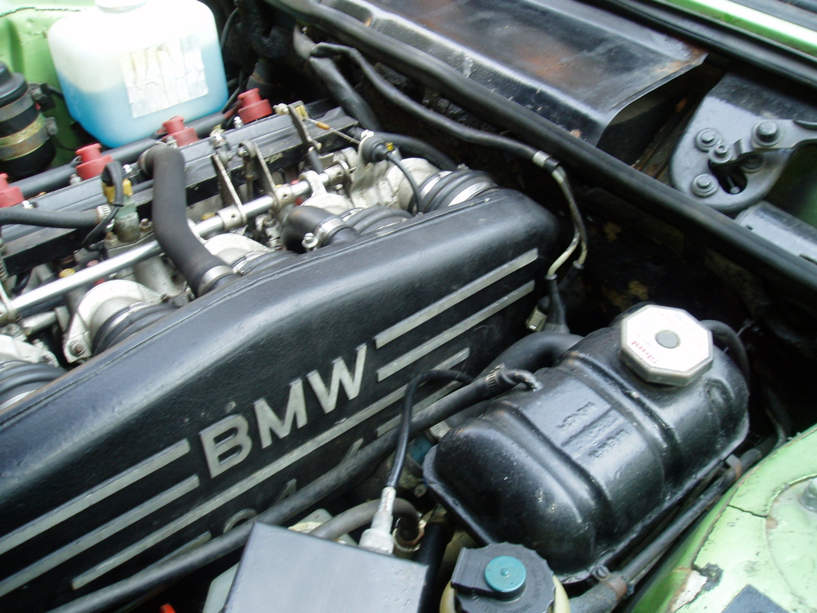 P1010039.JPG P1010039.JPG