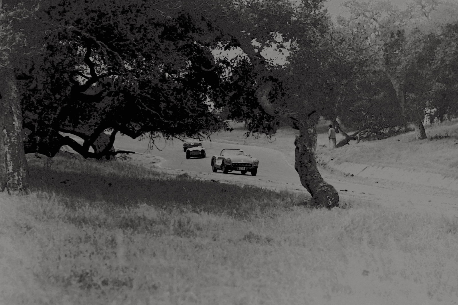 PICT0028 copy.JPG PICT0028 copy.JPG