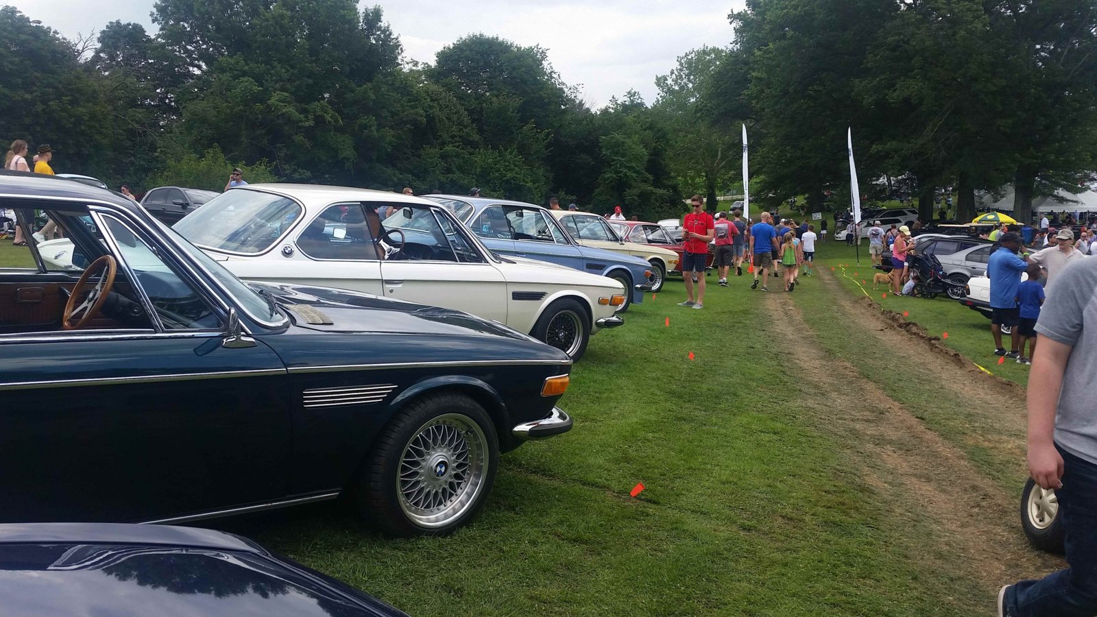 PVGP Lineup.jpg
