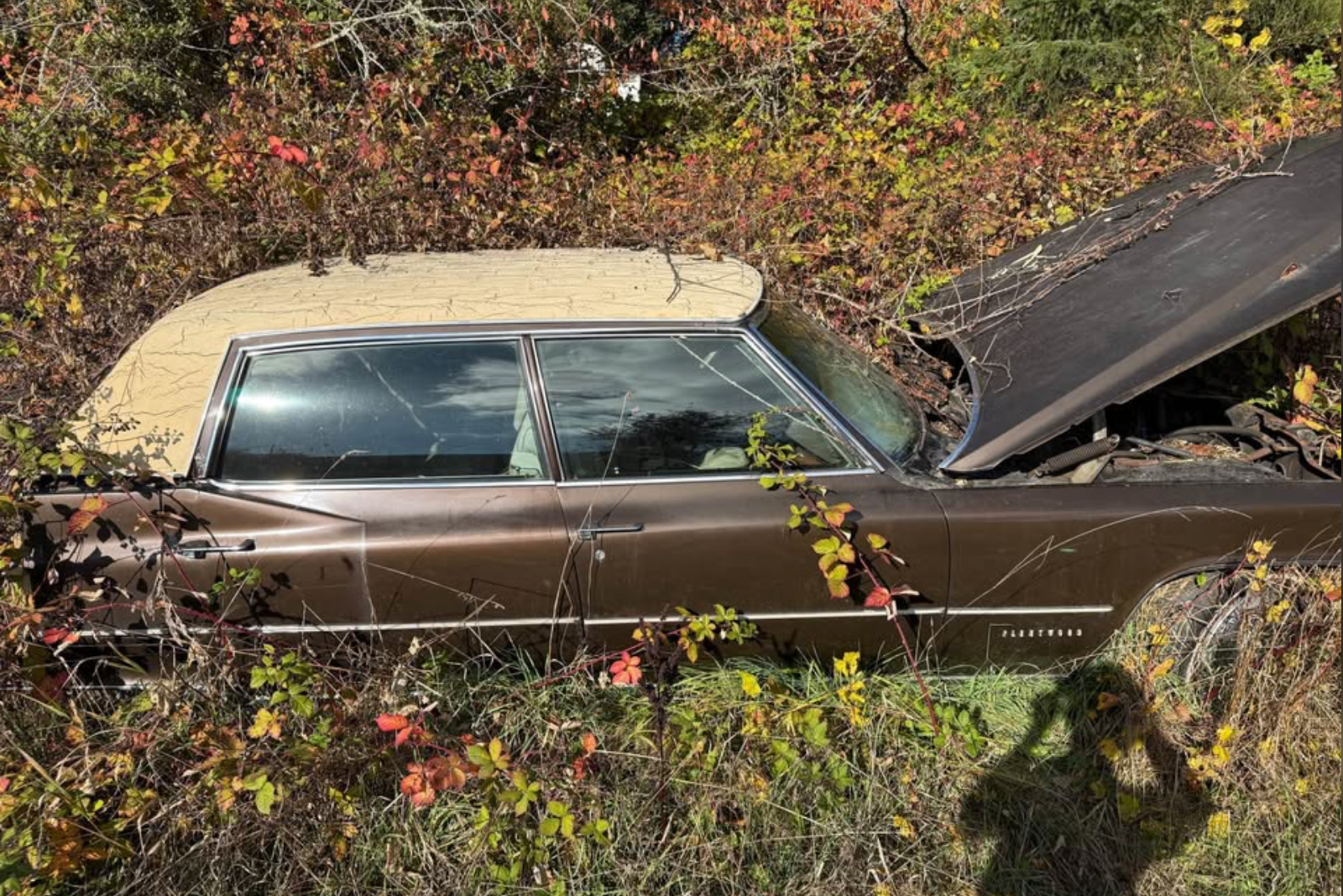 Screenshot 2026-03-31 at 7.44.24 PM.png