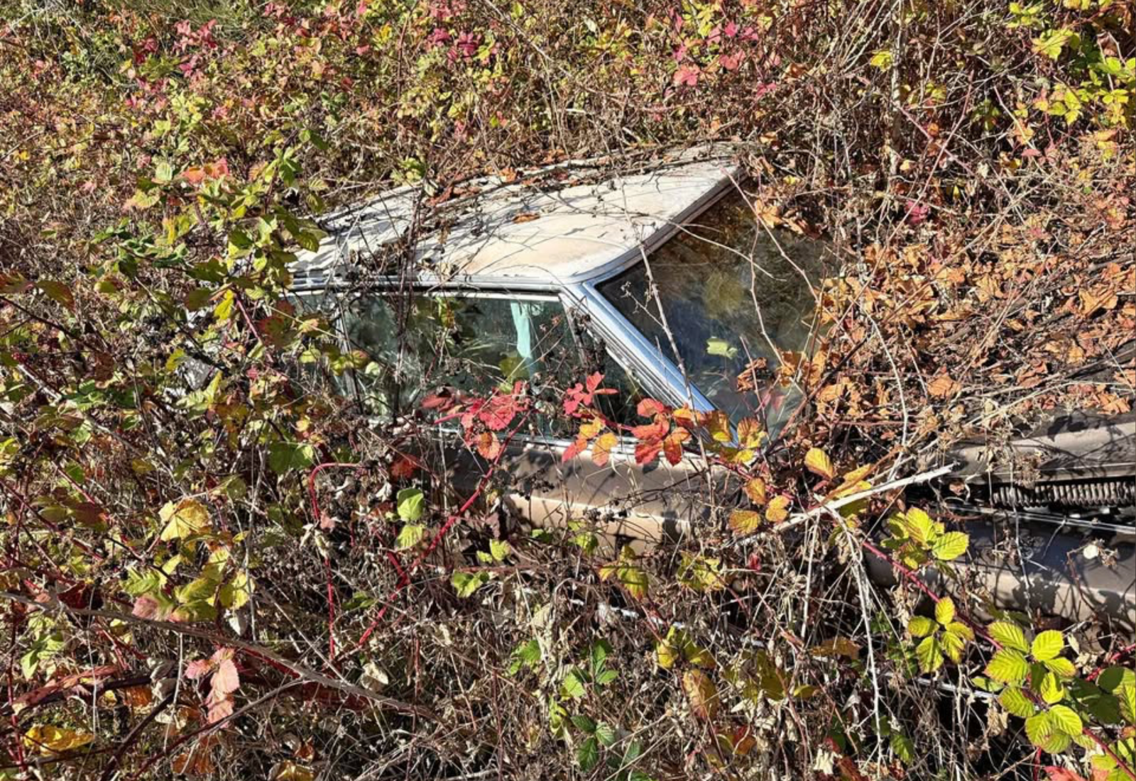 Screenshot 2026-03-31 at 7.45.09 PM.png