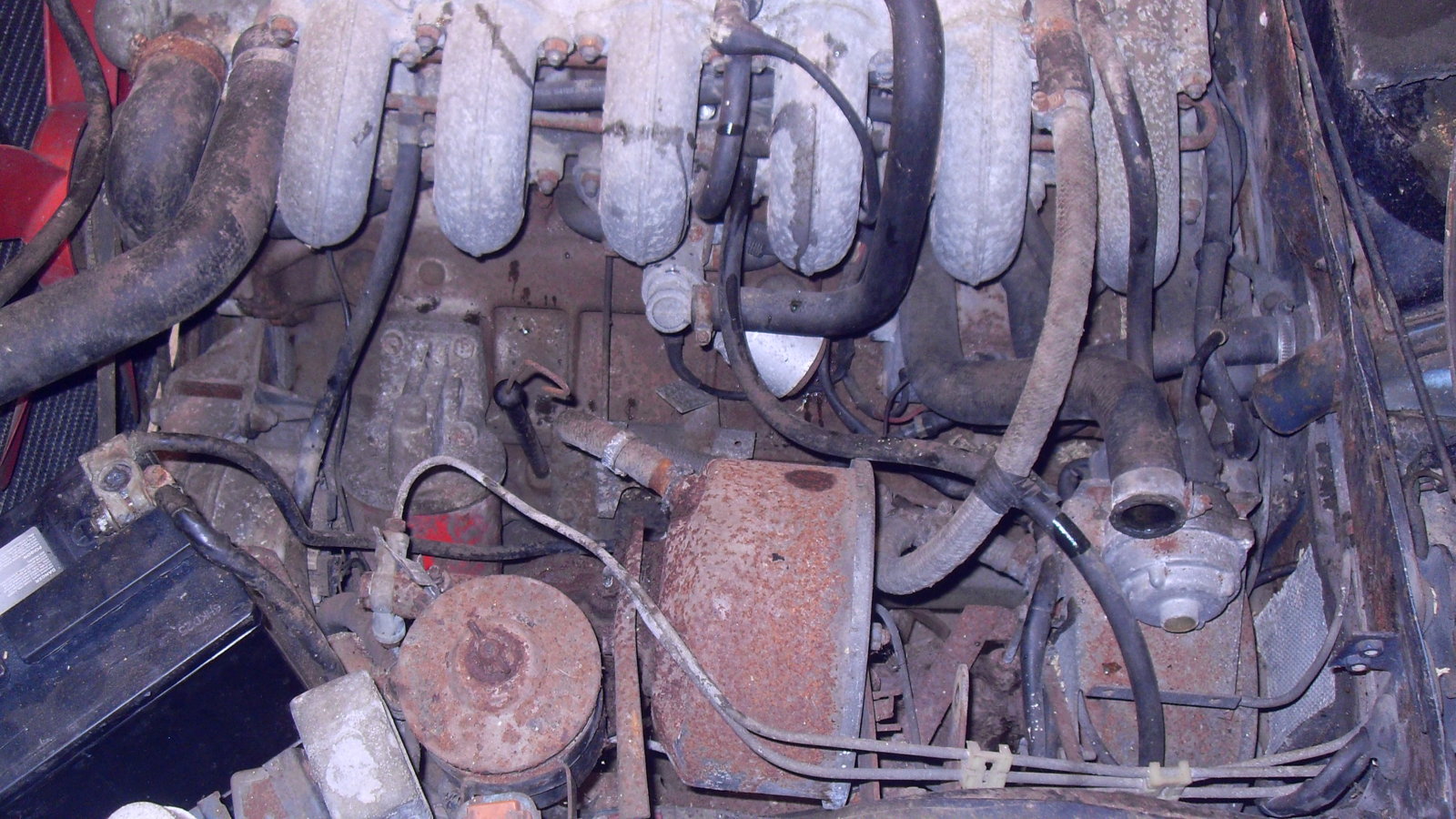 SDC12620.JPG