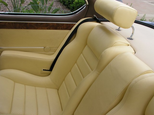 seat belt rear - paul cain.jpg