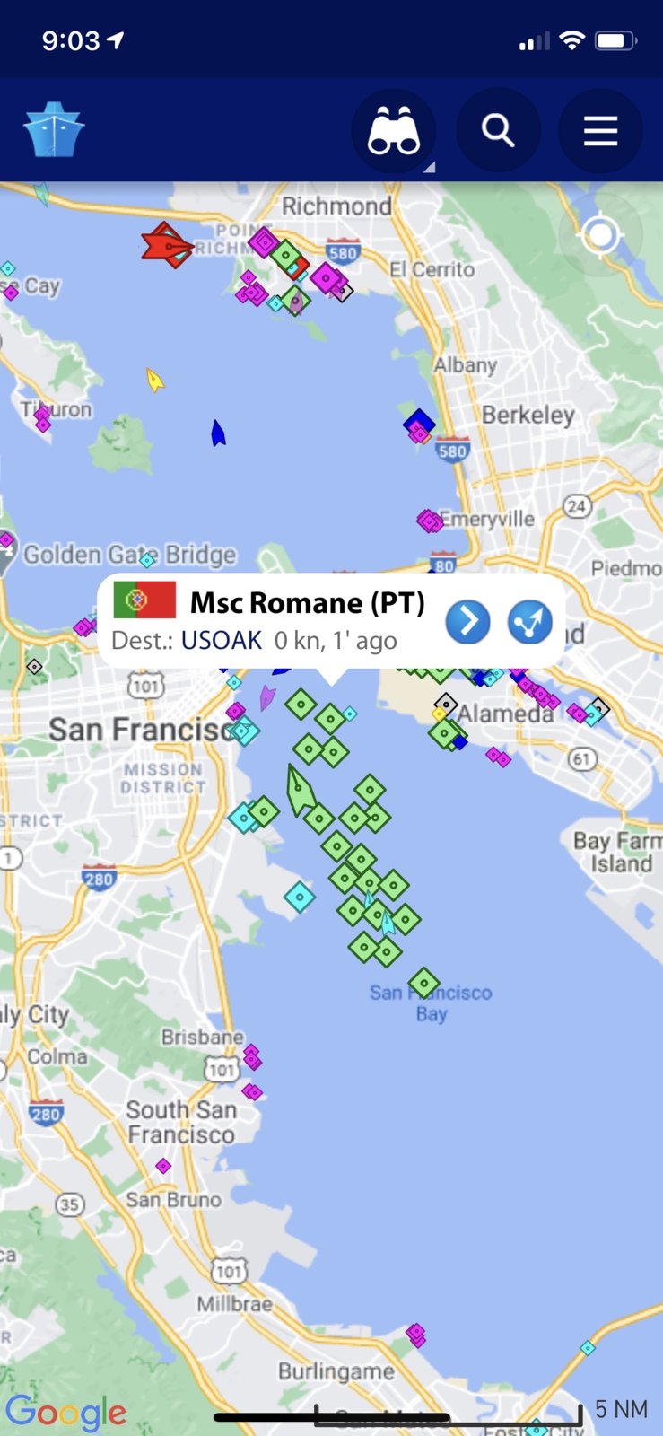 SF BAy.jpg