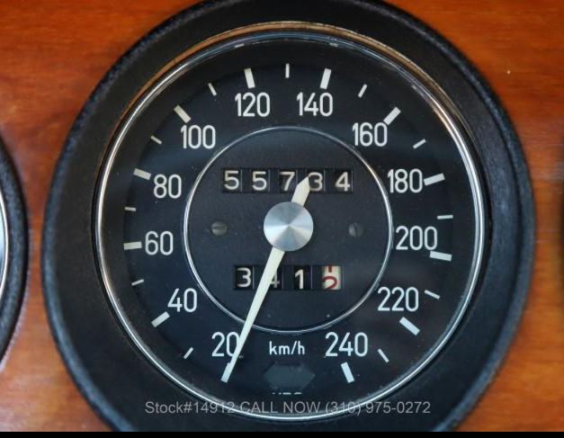 speedo.jpg