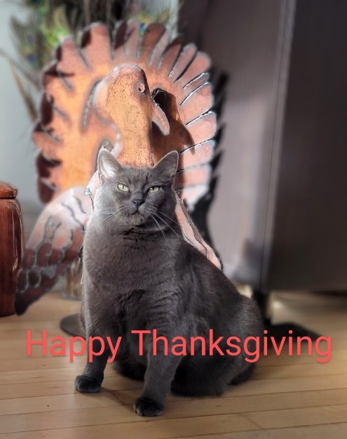 VeryMalloryThanksgiving.jpg