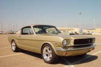 mustang screen saver2.jpg