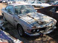 IMG_1786.jpg