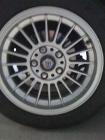IMG_0252.jpg