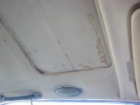 IMG_1880.JPG