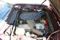 IMG_0319_2.jpg