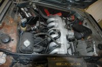 DSC_8538.jpg
