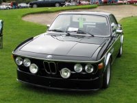 Bat @ Concorso (Large).jpg