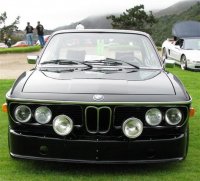 Bat @ Concorso 2 (Large).jpg