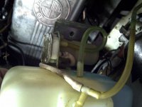 IMG-20110103-00020.jpg