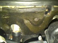 IMG-20110104-00023.jpg