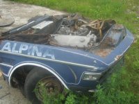 alpina2.jpg
