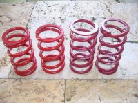 Coilover Springs 001.jpg