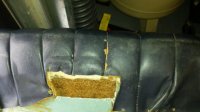 mold.jpg
