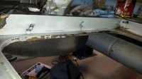 trunk clensed4.jpg