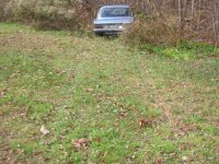 IMG_5712.jpg