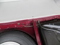 IMG_3240.jpg