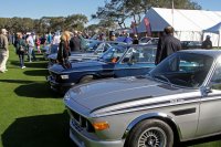 Coupes Amelia 14.jpg