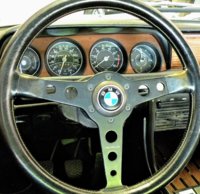 Alpina Momo 002 (2)~2.jpg