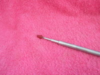 SV109691.JPG
