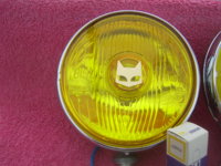 SV100128.JPG