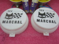 SV100130.JPG