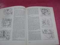 SV100611.JPG
