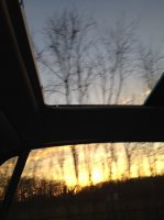IMG_3941b.jpg