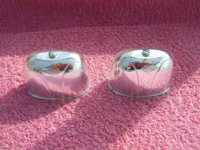 SV100974.JPG