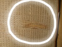 20210405_024443.jpg