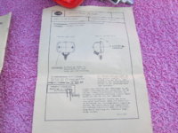 SV100999.JPG