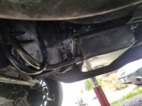 zf trans2.jpg