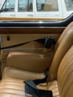 Psgr Seatbelt.jpg
