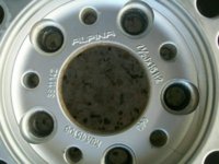 alpina 3.jpg